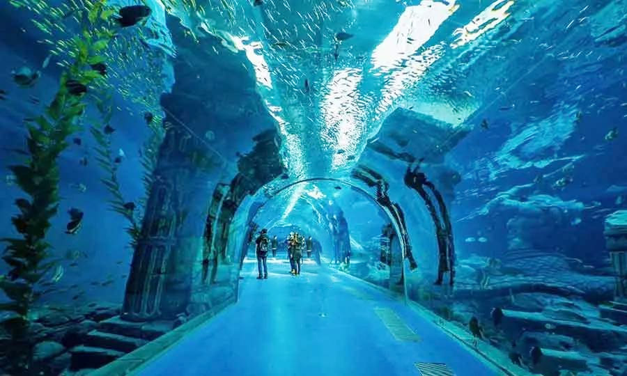 亞克力海底隧道的設計理念