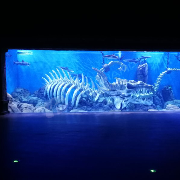 海洋館的建造主要包括哪些部分