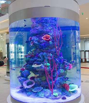 亞克力魚缸定制成本分析