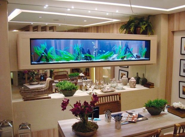亞克力魚缸好還是玻璃魚缸好？
